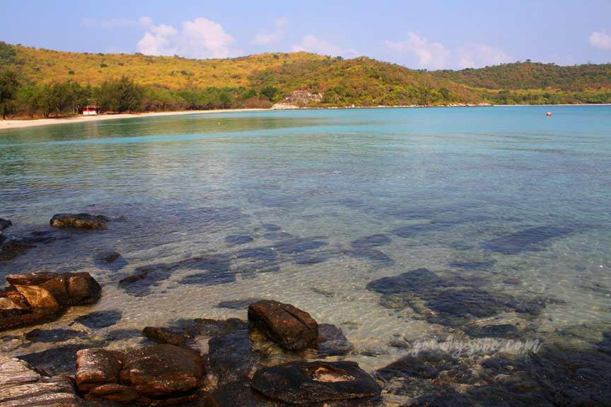 พัทยา-เกาะไผ่ 3: เกาะไผ่