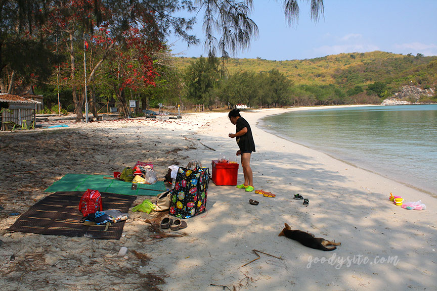 พัทยา-เกาะไผ่ 3: เกาะไผ่