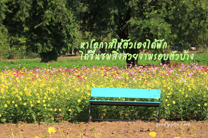 ให้ตัวเองได้พักบ้าง