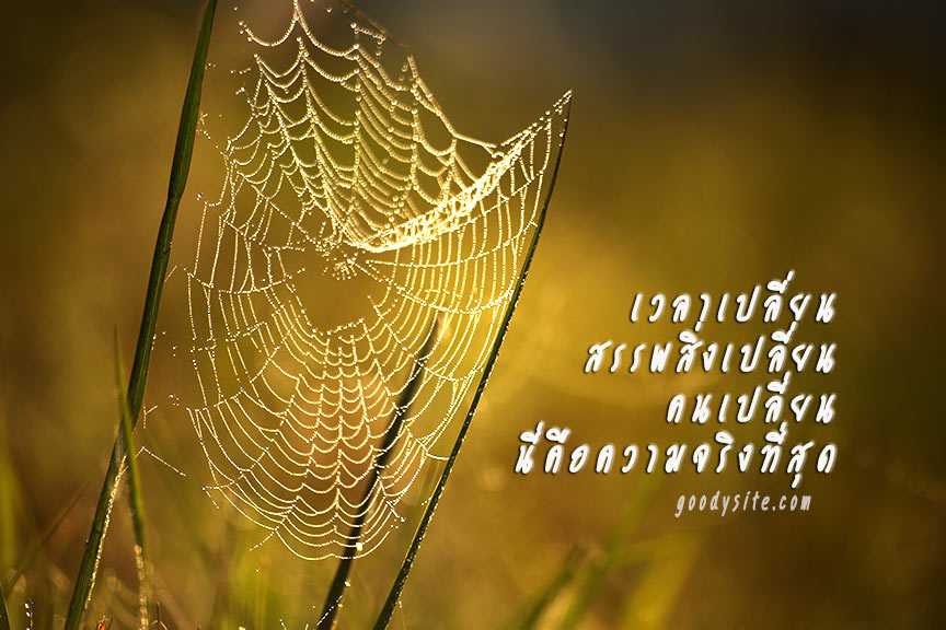 เวลาเปลี่ยน สรรพสิ่งเปลี่ยน คนเปลี่ยน นี่คือความจริงที่สุด