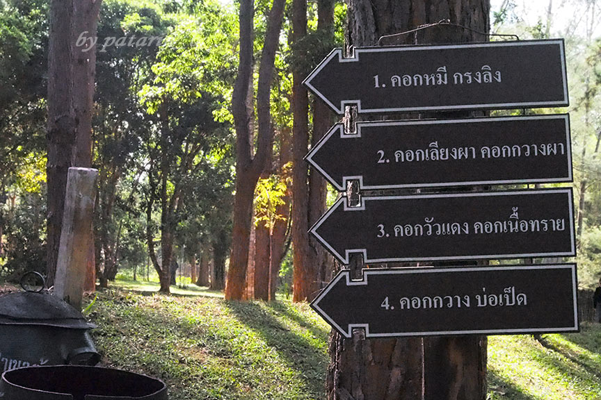 เพชรบูรณ์ 6 แวะรายทาง