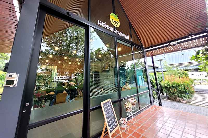 รังสิต 3 เมล่อนแอนด์คาเฟ่