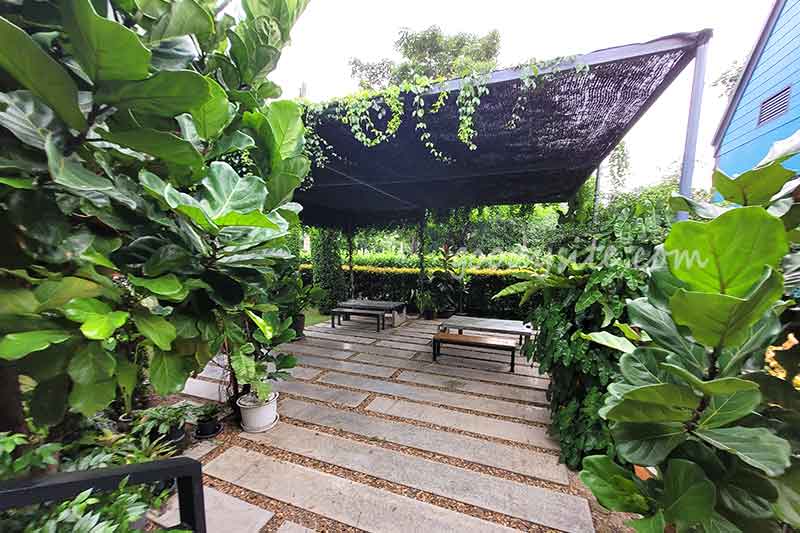 รังสิต 3 เมล่อนแอนด์คาเฟ่