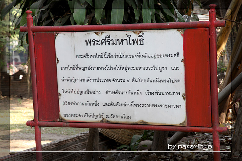 ปาย 5 เวียงกุมกาม