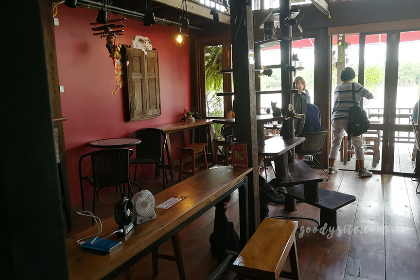 แปดริ้ว 4 Red Cat Cafe ร้านกาแฟสุดชิลที่ตลาดบ้านใหม่ 100 ปี