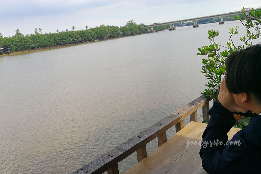 แปดริ้ว 4 Red Cat Cafe ร้านกาแฟสุดชิลที่ตลาดบ้านใหม่ 100 ปี