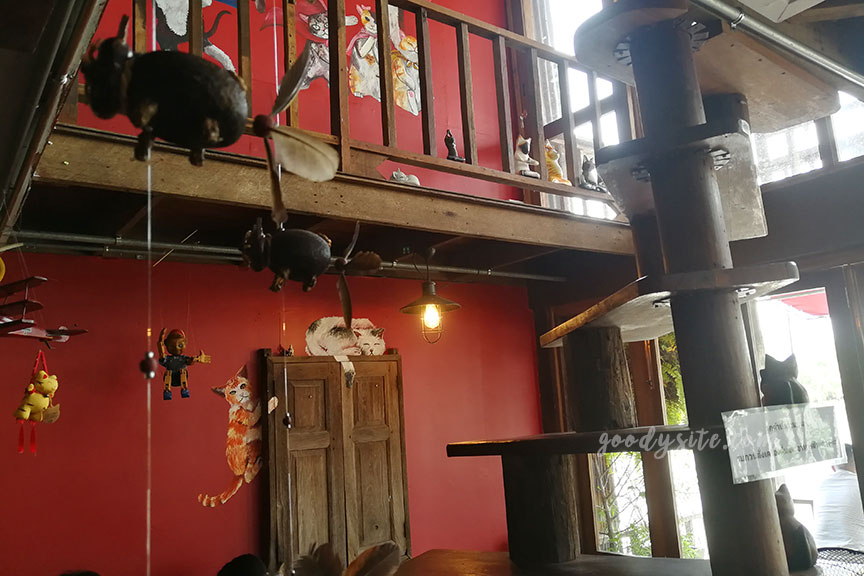 แปดริ้ว 4 Red Cat Cafe ร้านกาแฟสุดชิลที่ตลาดบ้านใหม่ 100 ปี