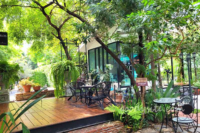 66 Cottage ร้านกาแฟท่ามกลางตึกสูง