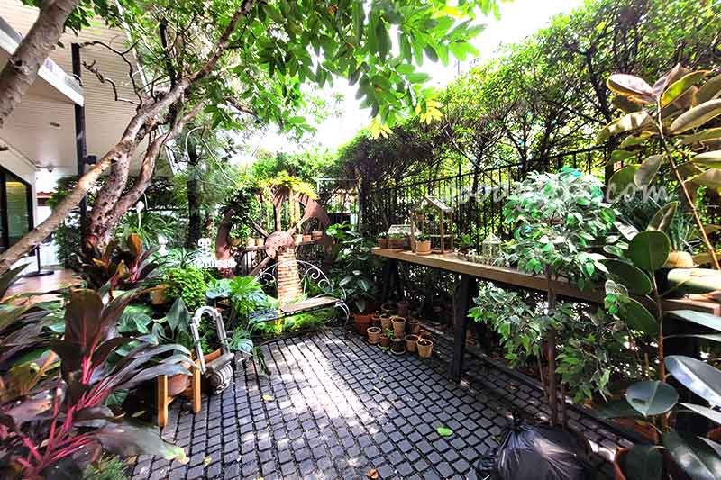 66 Cottage ร้านกาแฟท่ามกลางตึกสูง