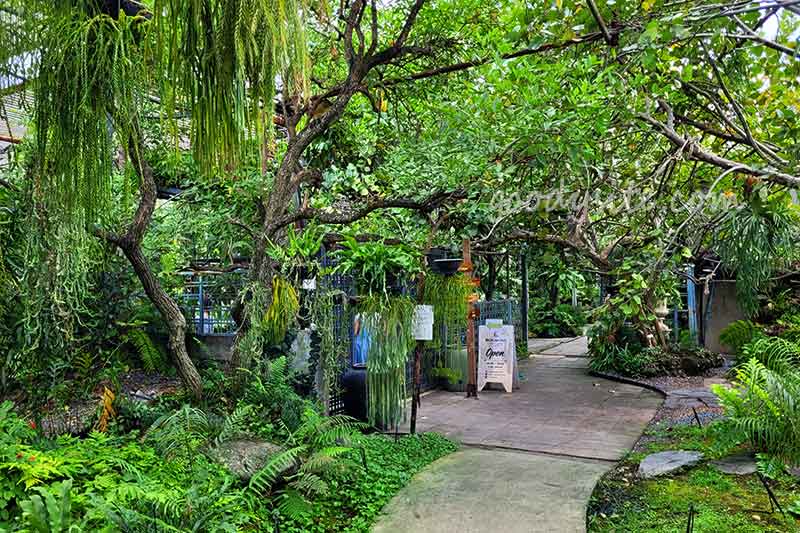 Botanist คาเฟ่ป่าในเมืองกรุง