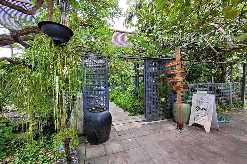 Botanist คาเฟ่ป่าในเมืองกรุง