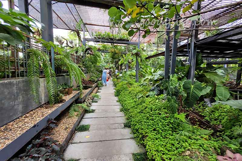 Botanist คาเฟ่ป่าในเมืองกรุง