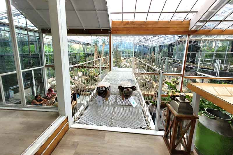 Botanist คาเฟ่ป่าในเมืองกรุง