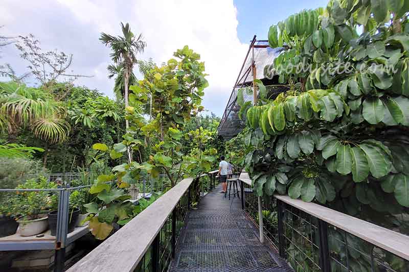 Botanist คาเฟ่ป่าในเมืองกรุง