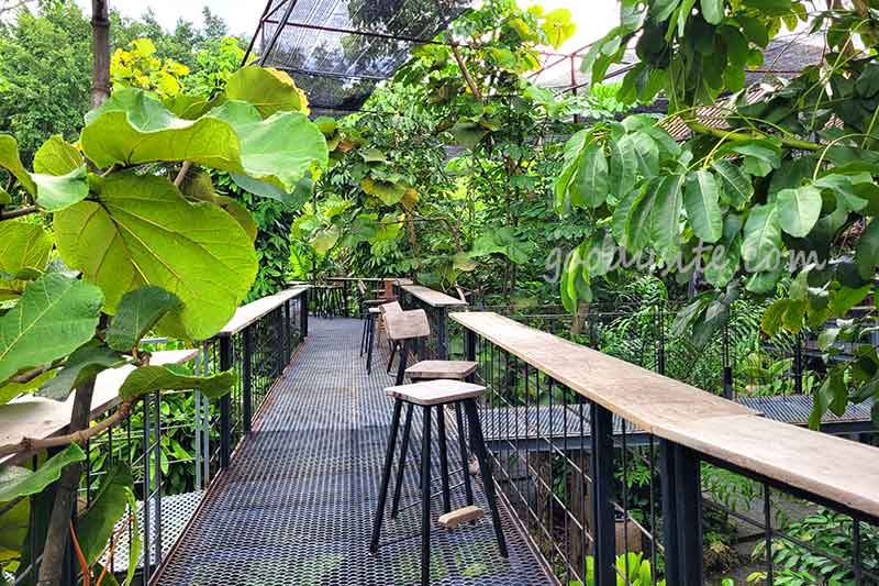 Botanist คาเฟ่ป่าในเมืองกรุง