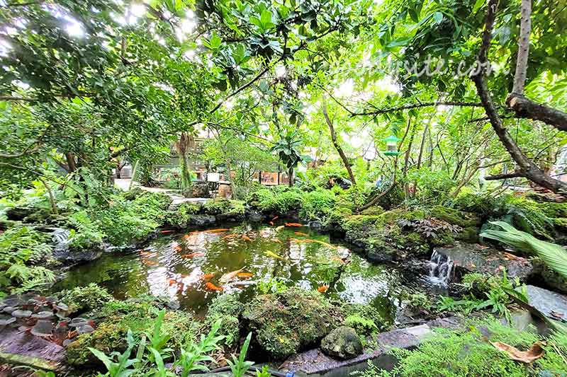 Botanist คาเฟ่ป่าในเมืองกรุง