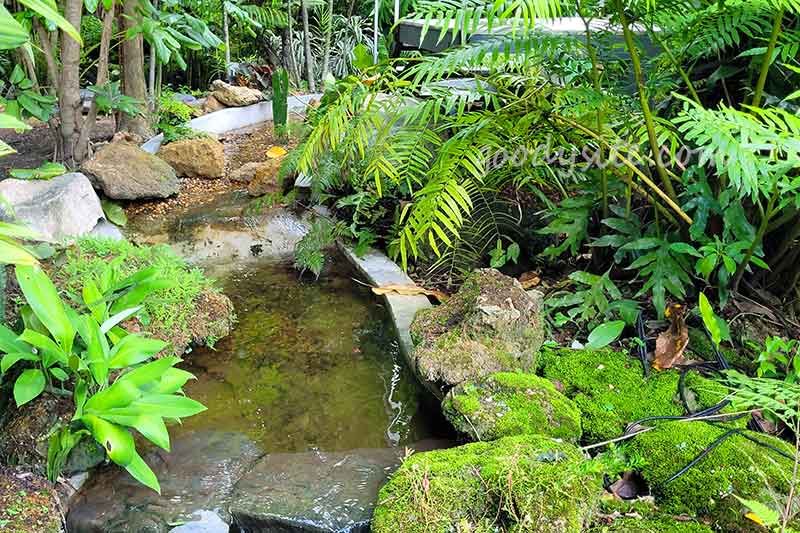 Botanist คาเฟ่ป่าในเมืองกรุง