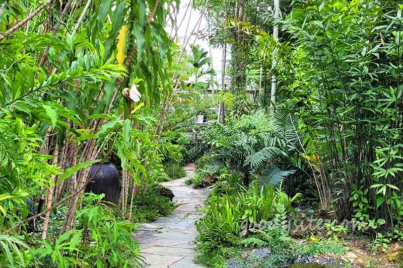 Botanist คาเฟ่ป่าในเมืองกรุง