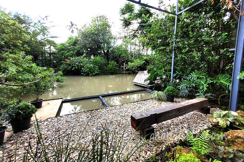 Botanist คาเฟ่ป่าในเมืองกรุง