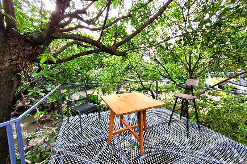 Botanist คาเฟ่ป่าในเมืองกรุง