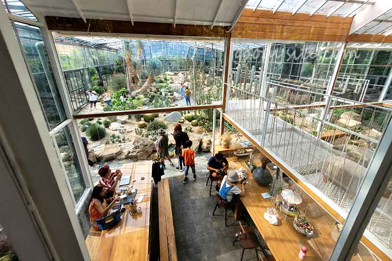 Botanist คาเฟ่ป่าในเมืองกรุง