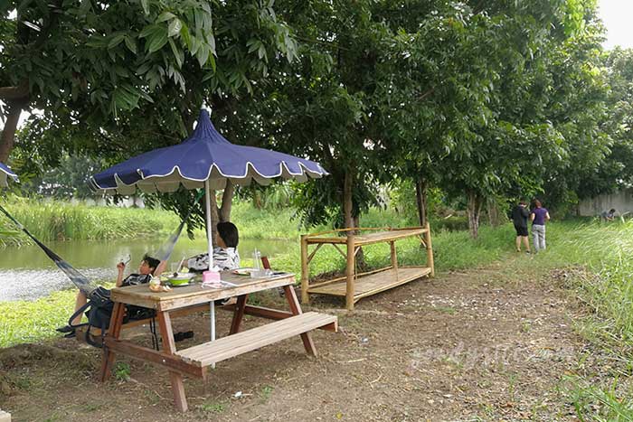 ชะลอม ฟาร์ม คาเฟ่ ร้านชิวๆ ริมบึงน้ำ