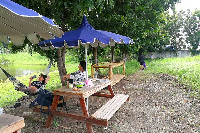 ชะลอม ฟาร์ม คาเฟ่ ร้านชิวๆ ริมบึงน้ำ