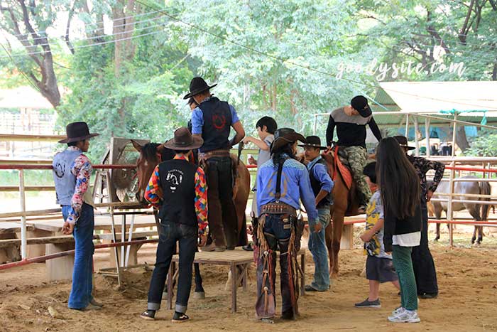ฟาร์มโคนม สระบุรี 4 คาวบอย โชว์