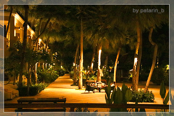 สัตหีบ 1 Dor-Shada at night