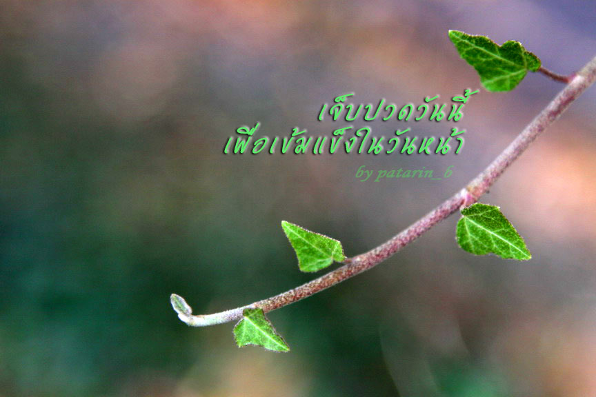 เจ็บปวดวันนี้ เพื่อเข้มแข็งในวันหน้า