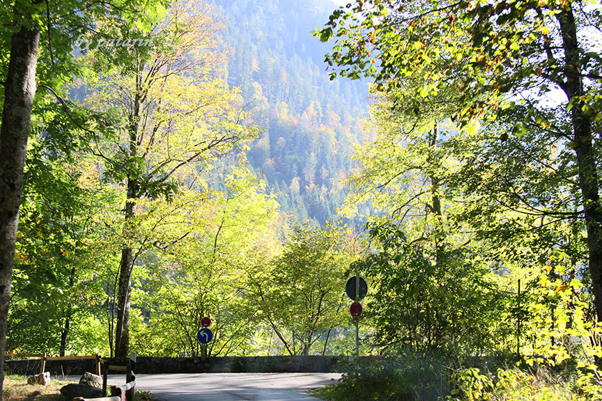 Europe อีกครั้ง 6: เยอรมัน - ปราสาท Neuschwanstein