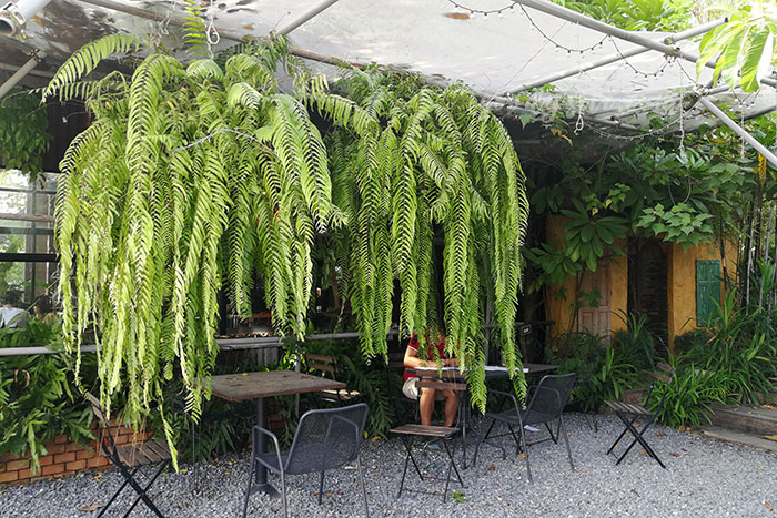 ร้าน Have a Seat ปทุมธานี