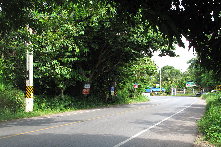 หัวหิน 1 ร้านอาหาร ช้างเผือก