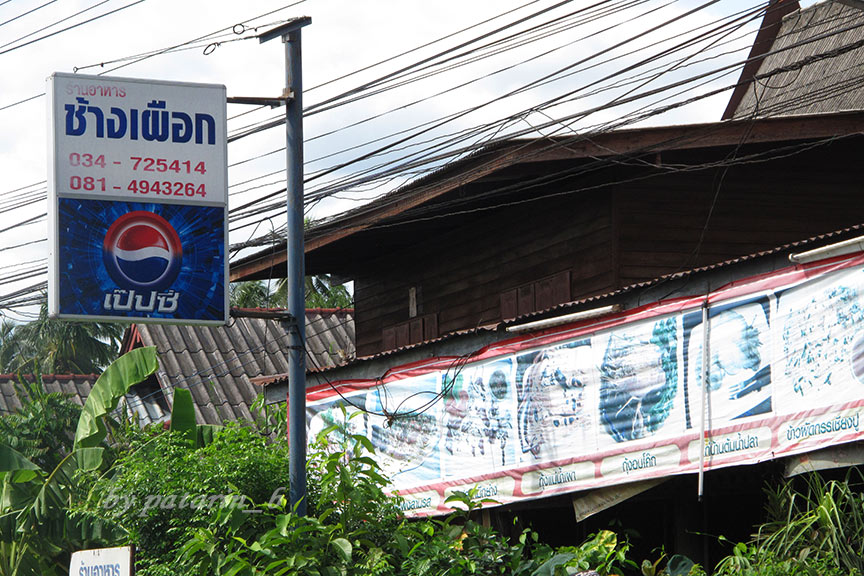 หัวหิน 1 ร้านอาหาร ช้างเผือก