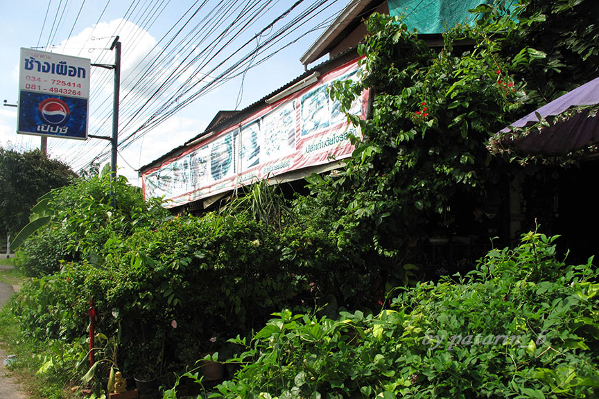 หัวหิน 1 ร้านอาหาร ช้างเผือก