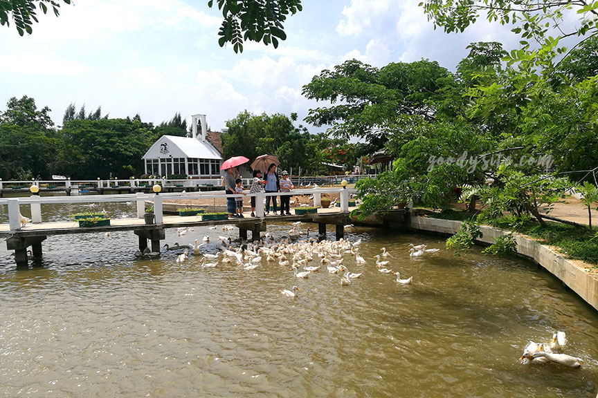 มินิมูร่าห์ ฟาร์ม ฉะเชิงเทรา