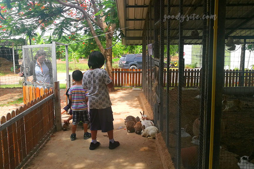 มินิมูร่าห์ ฟาร์ม ฉะเชิงเทรา