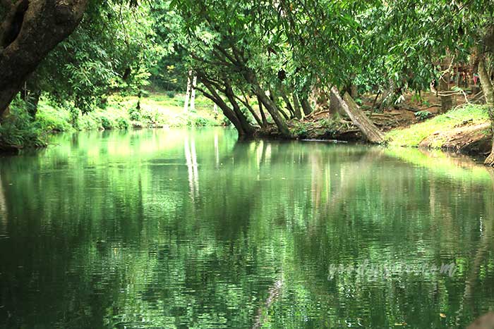 ฟาร์มโคนม สระบุรี 1 น้ำตกมวกเหล็ก