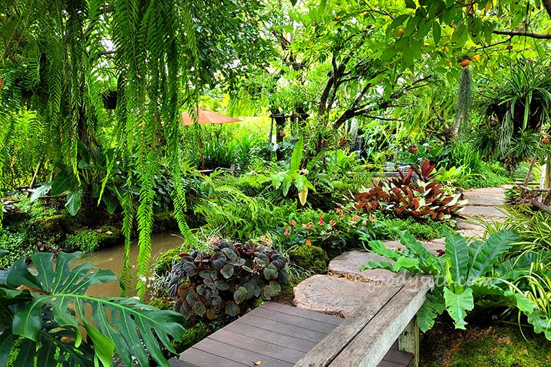 ร้านนาดิน คาเฟ่