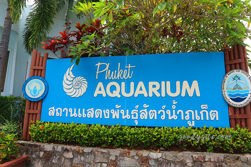 ภูเก็ต 6 สถานแสดงพันธุ์สัตว์น้ำภูเก็ต Phuket Aquarium