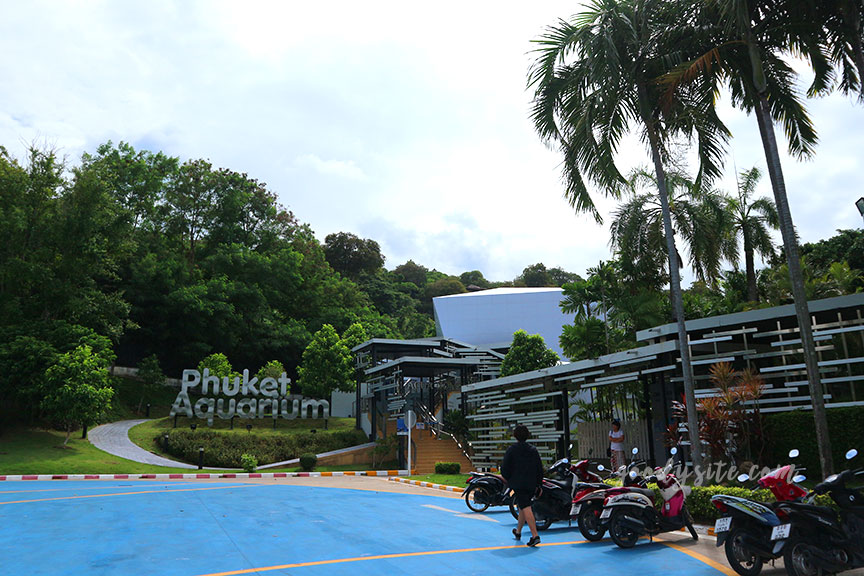 ภูเก็ต 6 สถานแสดงพันธุ์สัตว์น้ำภูเก็ต Phuket Aquarium