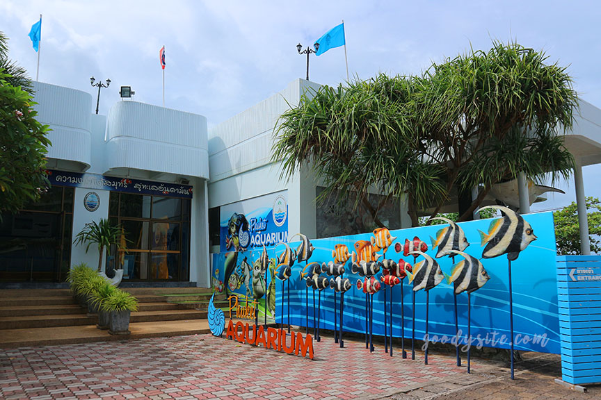 ภูเก็ต 6 สถานแสดงพันธุ์สัตว์น้ำภูเก็ต Phuket Aquarium
