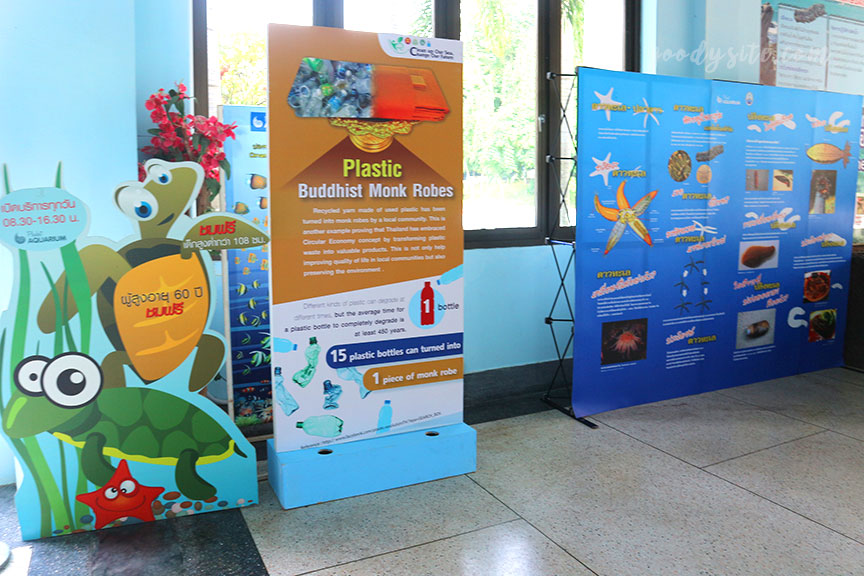 ภูเก็ต 6 สถานแสดงพันธุ์สัตว์น้ำภูเก็ต Phuket Aquarium