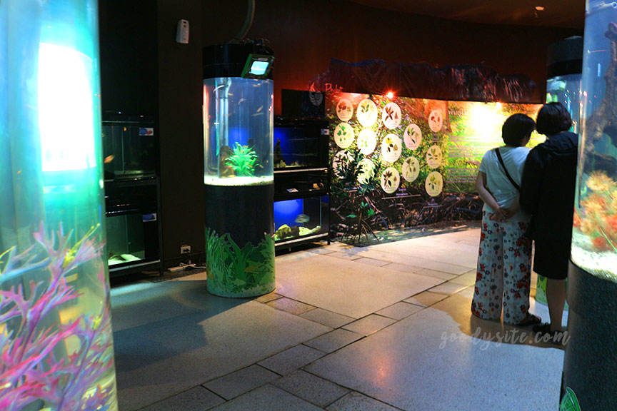 ภูเก็ต 6 สถานแสดงพันธุ์สัตว์น้ำภูเก็ต Phuket Aquarium