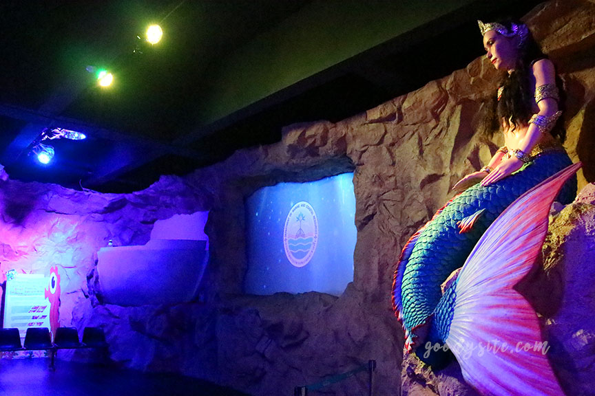 ภูเก็ต 6 สถานแสดงพันธุ์สัตว์น้ำภูเก็ต Phuket Aquarium