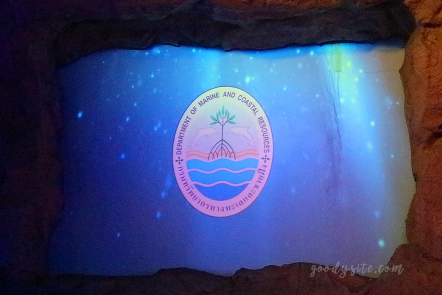 ภูเก็ต 6 สถานแสดงพันธุ์สัตว์น้ำภูเก็ต Phuket Aquarium
