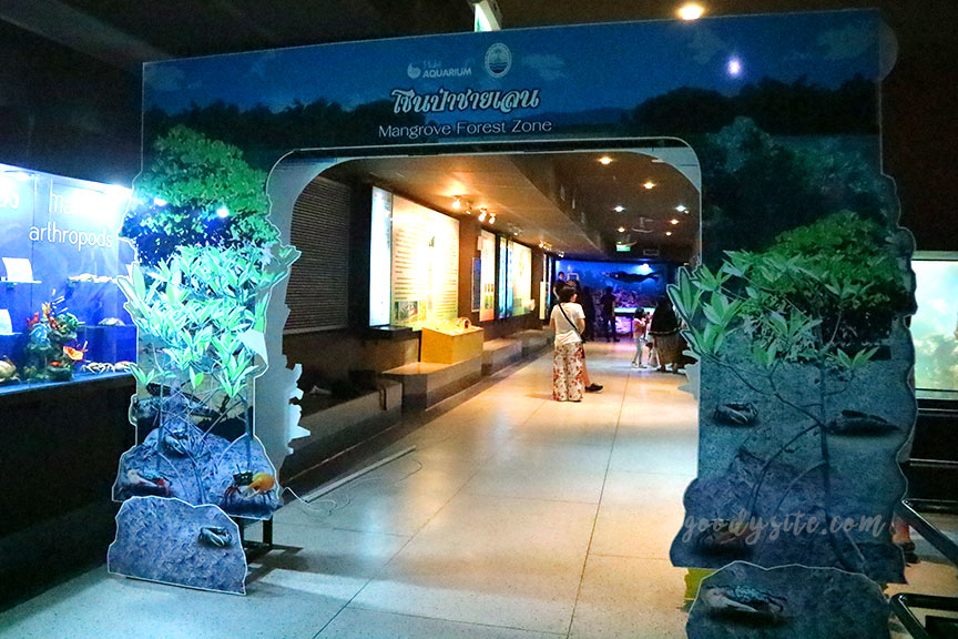 ภูเก็ต 6 สถานแสดงพันธุ์สัตว์น้ำภูเก็ต Phuket Aquarium