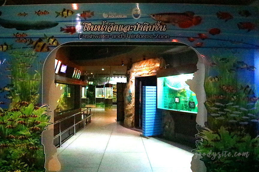 ภูเก็ต 6 สถานแสดงพันธุ์สัตว์น้ำภูเก็ต Phuket Aquarium