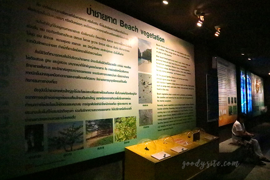 ภูเก็ต 6 สถานแสดงพันธุ์สัตว์น้ำภูเก็ต Phuket Aquarium