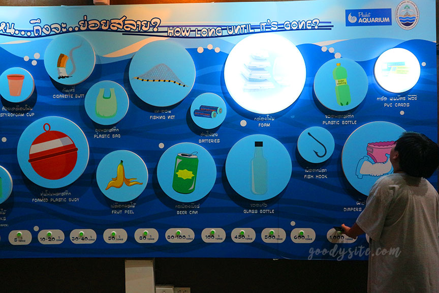 ภูเก็ต 6 สถานแสดงพันธุ์สัตว์น้ำภูเก็ต Phuket Aquarium